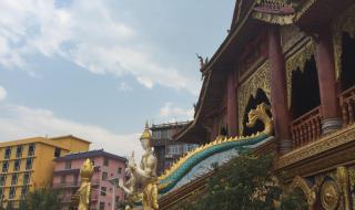 昆明到西双版纳汽车多长时间 昆明到西双版纳汽车