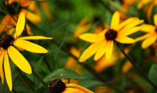 双流建设职业技术学校怎么样 双流电脑培训学校