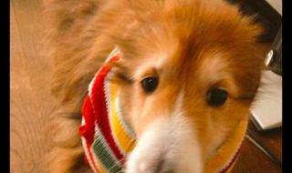 网上买衣服 网上买衣服