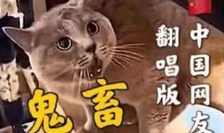 五音不全唱什么歌