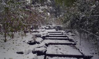 雪中即景的意思 5年级作文雪中即景