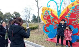 万家元宵夜 万家元宵夜