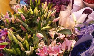 玫瑰花的葬礼周杰伦有唱过吗 玫瑰花的葬礼吉他谱