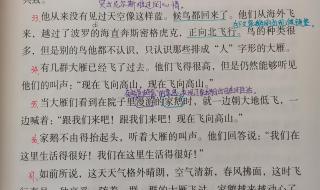 骑鹅旅行记第一章好句赏析 骑鹅旅行记课堂笔记