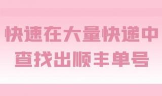 顺丰快递,只有单号物流怎么查 顺丰单号快递查询