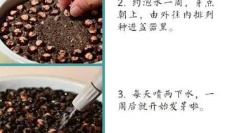 谷雨节气的含义是什么50字 植树节小知识50字