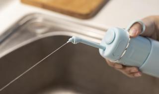 博美两个月多久洗澡一次 你每个月洗澡多少次