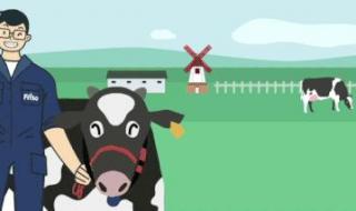 飞行训练熟悉赛道